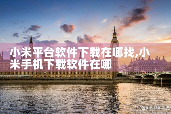 小米平台软件下载在哪找