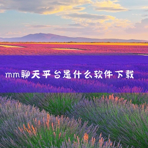 移动应用商场，通常简称为MM，是一个集合了各种手机应用开发者及其优秀应用的综合平台。它旨在满足所有类型手机用户的实时体验、下载和订购需求。这个平台通过手机客户端和WWW网站，为用户提供了一站式的综合服,