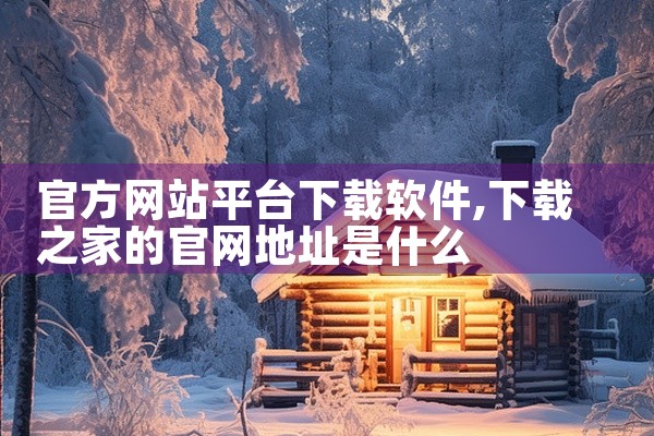 官方网站平台下载软件