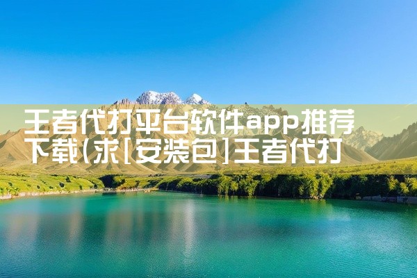 王者代打平台软件app推荐下载