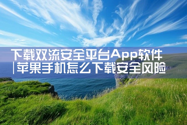 下载双流安全平台App软件