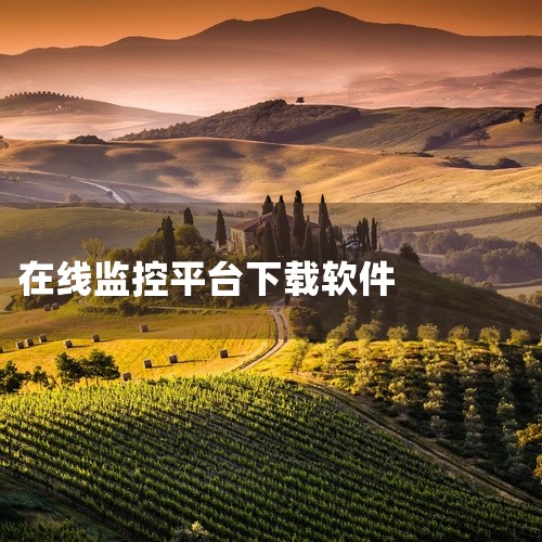 3. 《监控大师》：作为专业级监控软件，它支持云存储和回放功能，用户可以随时查看历史监控画面。其画质高清无卡顿，是商铺和办公室进行监控的首选软件。4. 《远程视频监控》：用户可以随时随地查看实时画面，,